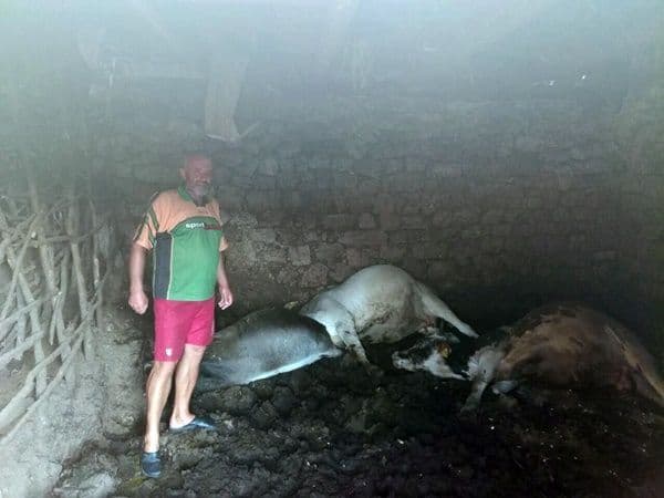 U selu kod Nikšića grom pobio stoku U selu kod Nikšića grom pobio stoku