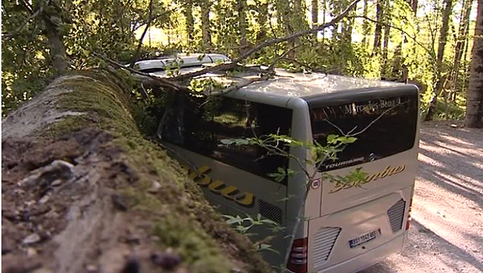 Mali Iđoš: Prevrnuo se autobus koji je prevozio djecu Mali Iđoš: Prevrnuo se autobus koji je prevozio djecu