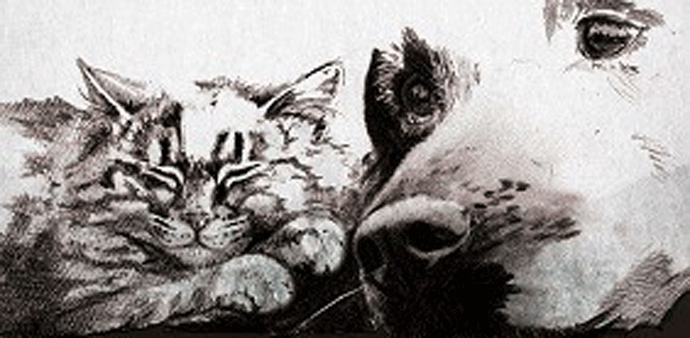 U srijedu udomljavanje kučića i mačića U srijedu udomljavanje kučića i mačića