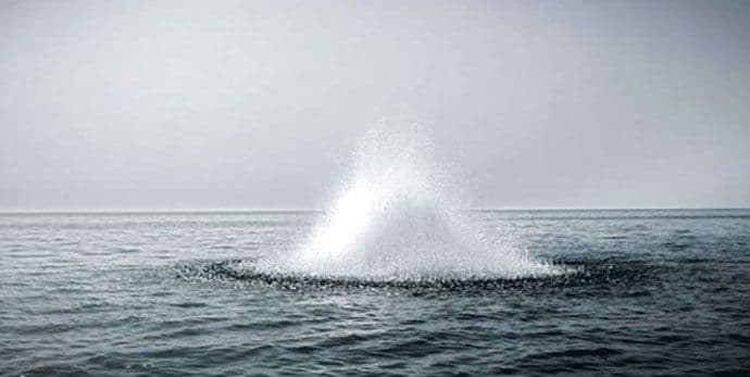 Barani uhvaćeni dok su lovili ribu dinamitom Barani uhvaćeni dok su lovili ribu dinamitom