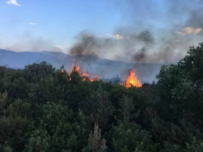 Avioni MUP-a angažovani na gašenju požara na Luštici Avioni MUP-a angažovani na gašenju požara na Luštici
