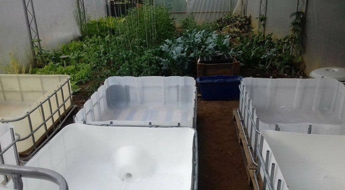 Akvaponija u Zagoriču, kod Lazarevića Akvaponija u Zagoriču, kod Lazarevića