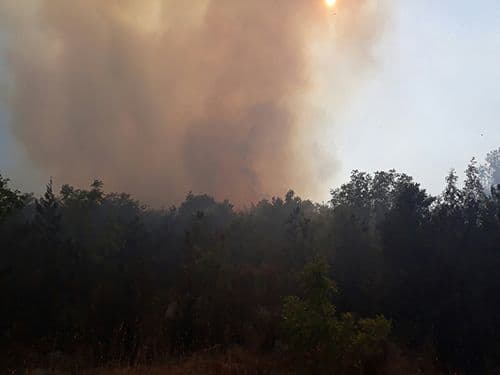 Odbranjene kuće u Liješevićima Odbranjene kuće u Liješevićima