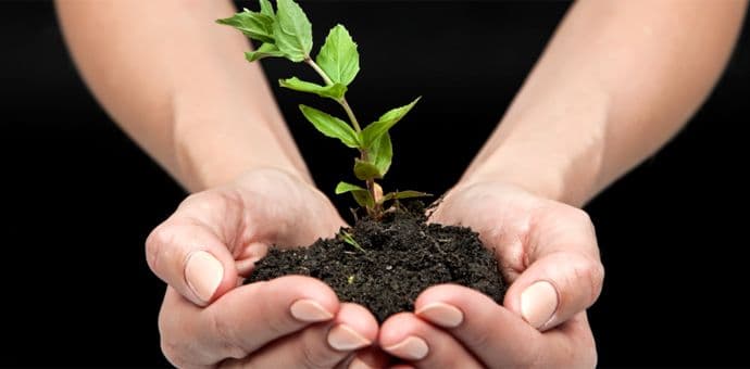 Sertifikat za kvalitet: Telenor štiti životnu sredinu Sertifikat za kvalitet: Telenor štiti životnu sredinu