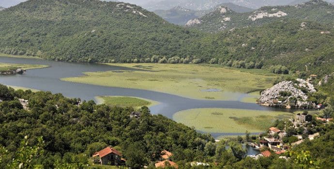 Skadarsko jezero: Još smo na vrijeme da se sve ne pokvari Skadarsko jezero: Još smo na vrijeme da se sve ne pokvari
