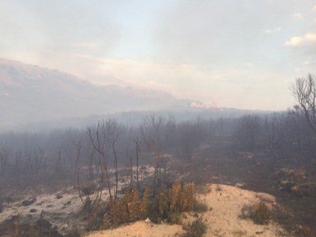 Tivat: Vatrogasci juče bili u vatrenom obruču Tivat: Vatrogasci juče bili u vatrenom obruču