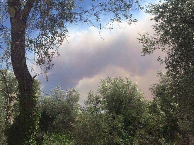 Vatra se širi prema Žanjicama, gori i oko Plave špilje Vatra se širi prema Žanjicama, gori i oko Plave špilje