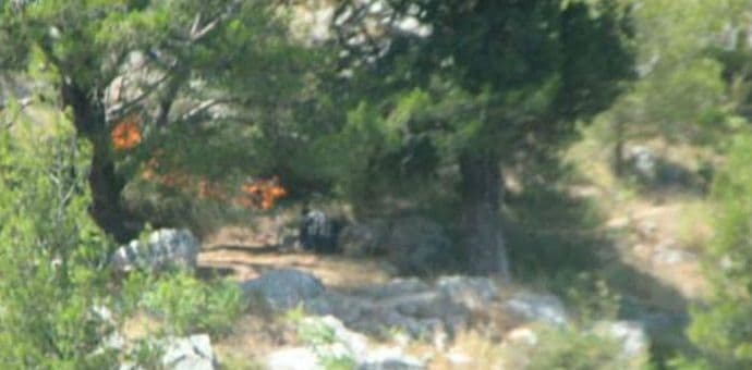 Je li ovo piroman sa Ljubovića? Je li ovo piroman sa Ljubovića?