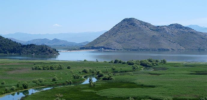 Zbog niskog vodostaja: Privremeni zabran ribolova na Skadarskom jezeru Zbog niskog vodostaja: Privremeni zabran ribolova na Skadarskom jezeru