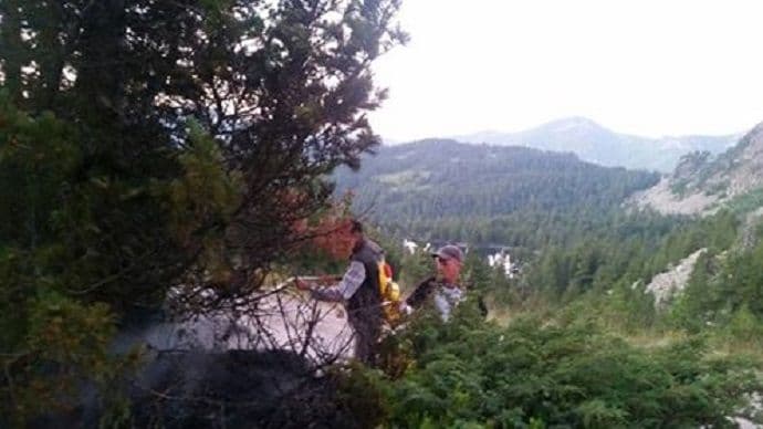 Lokalizovan podmetnuti požar u NP Prokletije Lokalizovan podmetnuti požar u NP Prokletije