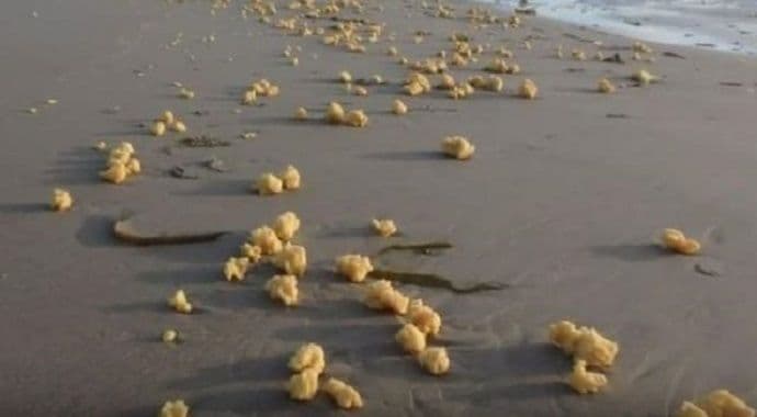 Na obalu isplivala misteriozna materija, niko ne zna šta je Na obalu isplivala misteriozna materija, niko ne zna šta je