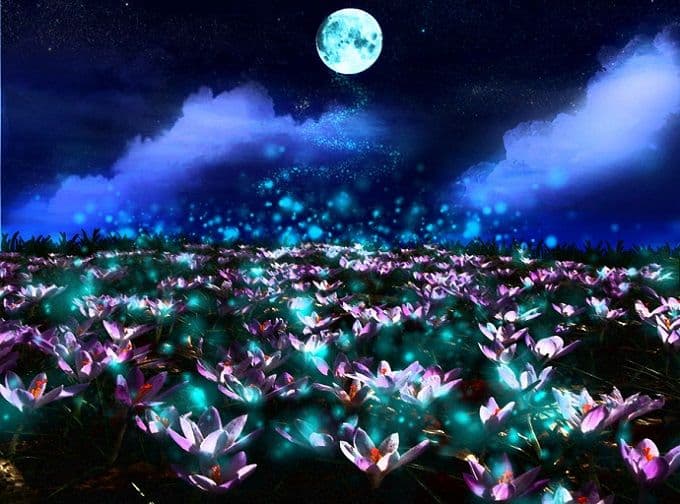 Nedjeljni bioritam (09. septembar - 15. septembar) Nedjeljni bioritam (09. septembar - 15. septembar)