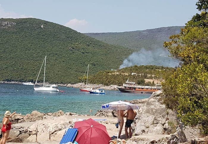 Poljski državljanin priznao da je podmetnuo požar Poljski državljanin priznao da je podmetnuo požar