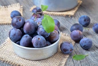 Šljive smanjuju holesterol i jačaju kosti Šljive smanjuju holesterol i jačaju kosti