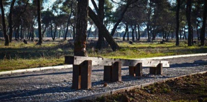 Radnici "Zelenilo"d.o.o. uredno održavaju zelene javne površine Radnici "Zelenilo"d.o.o. uredno održavaju zelene javne površine