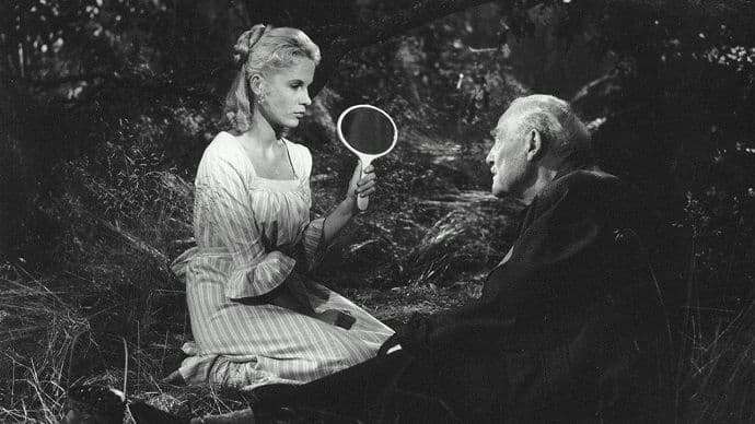 202-wild-strawberries-bergman