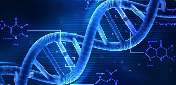 Čovjek može da ima dva potpuno različita seta DNK Čovjek može da ima dva potpuno različita seta DNK