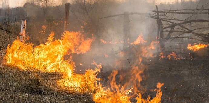 Nikšić: Buknuli novi požari, vatrogascima pomažu mještani Nikšić: Buknuli novi požari, vatrogascima pomažu mještani