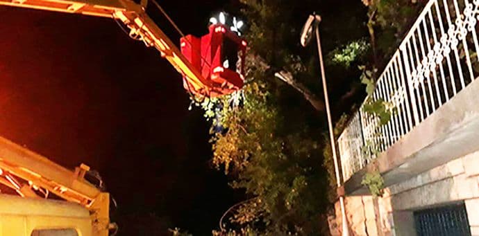 Staro stablo prekinulo snabdijevanje strujom i obustavilo saobraćaj Staro stablo prekinulo snabdijevanje strujom i obustavilo saobraćaj