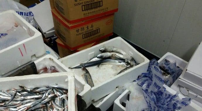 Oduzeto 325 kilograma ribe i morskih plodova Oduzeto 325 kilograma ribe i morskih plodova