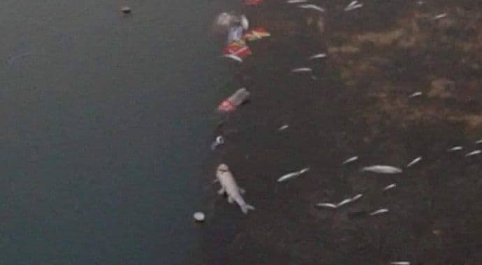 Krivolov na Slanom jezeru - ''dok ima rokaj'' Krivolov na Slanom jezeru - ''dok ima rokaj''