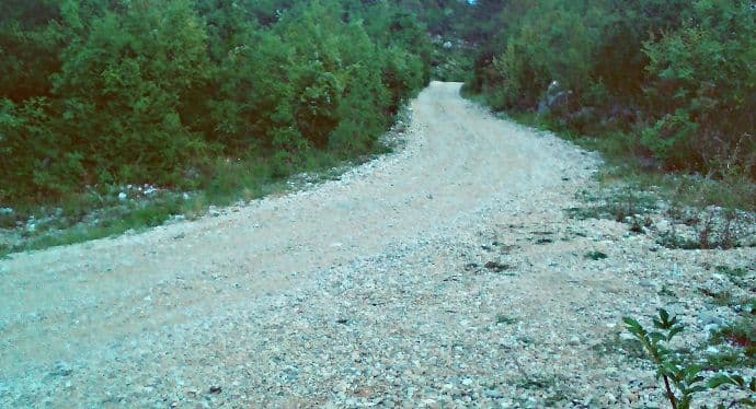 Nikšić: Podnijeta inicijativa za asfaltiranje puta do azila Nikšić: Podnijeta inicijativa za asfaltiranje puta do azila