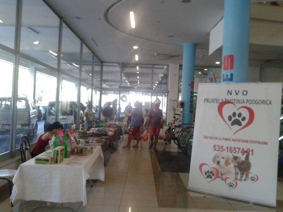 Danas u Podgorici "Humanitarni bazar": Pomozimo ugroženim životinjama Danas u Podgorici "Humanitarni bazar": Pomozimo ugroženim životinjama