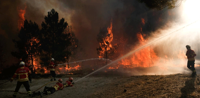 Novi požar na Cetinju, u selu Štitari Novi požar na Cetinju, u selu Štitari