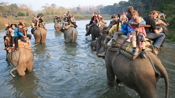 Slonovi spasavaju turiste od poplava  Slonovi spasavaju turiste od poplava
