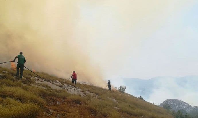 NP Lovćen: Svi raspoloživi resursi u gašenju požara (FOTO) NP Lovćen: Svi raspoloživi resursi u gašenju požara (FOTO)
