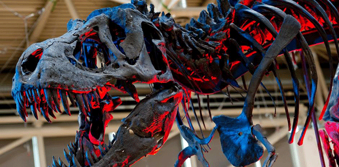 Nova otkrića o životu Tiranosaurus reksa Nova otkrića o životu Tiranosaurus reksa