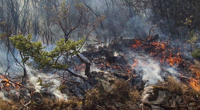 Potrebno više angažovanja u gašenju požara Potrebno više angažovanja u gašenju požara