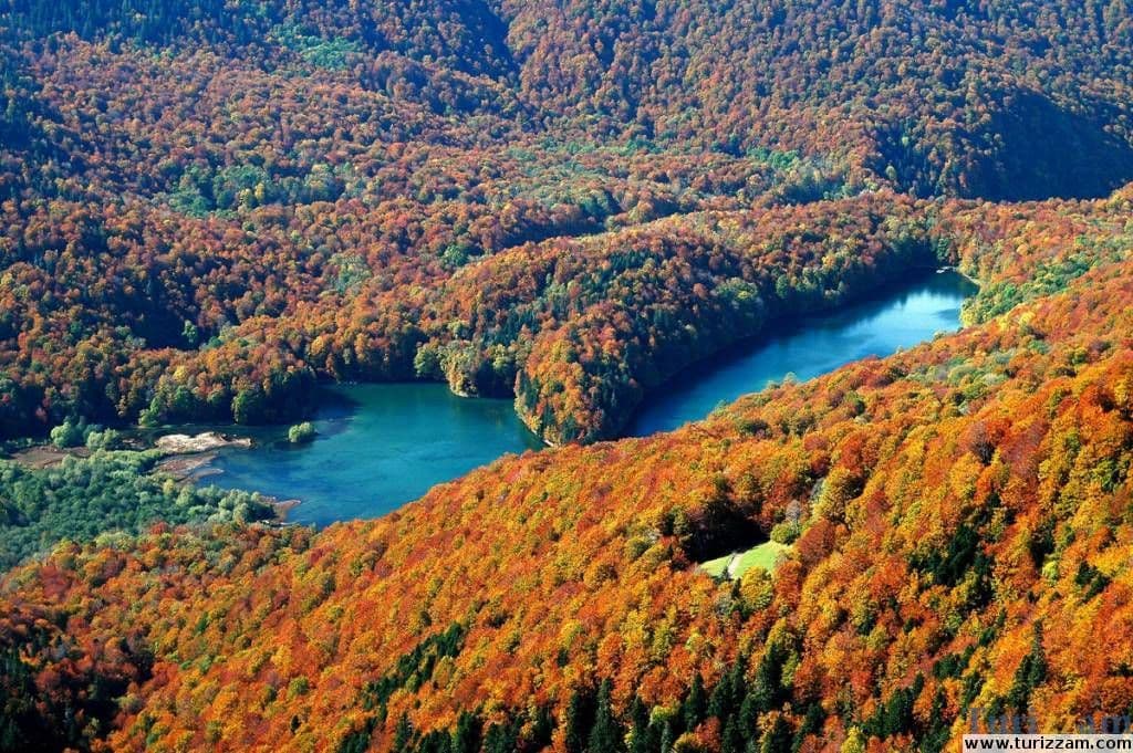 Kad prašuma oladi „vrelog“ Lucifera Kad prašuma oladi „vrelog“ Lucifera