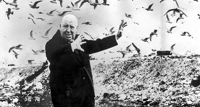 Čuvene Hičkokove "Ptice" postaju serija Čuvene Hičkokove "Ptice" postaju serija