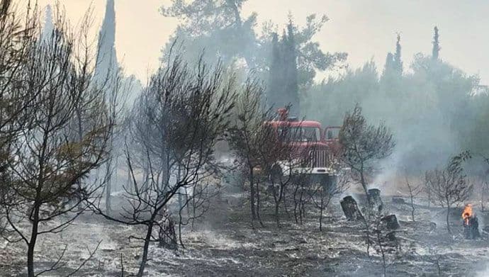 Gorjela šuma preko puta KAP-a, sumnja se da je požar podmetnut Gorjela šuma preko puta KAP-a, sumnja se da je požar podmetnut