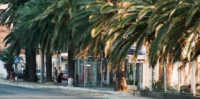 Nastavljeno snimanje "Mornarice" Ivana Salatića Nastavljeno snimanje "Mornarice" Ivana Salatića