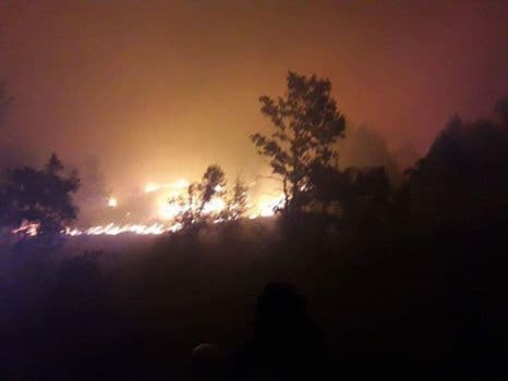 DANILOVGRAD: Požar velikih razmjera zahvatio Vukoticu DANILOVGRAD: Požar velikih razmjera zahvatio Vukoticu