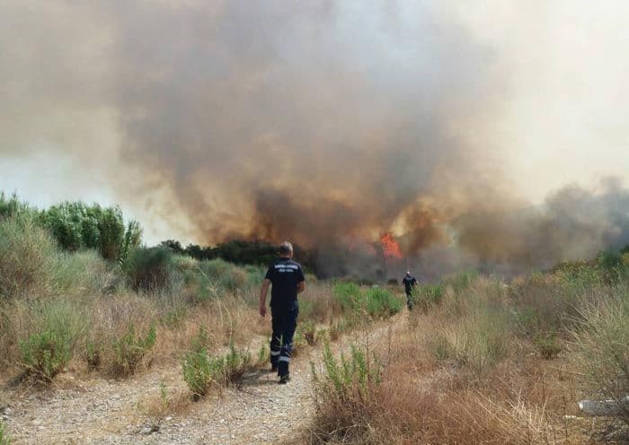Bura ponovo razbuktala požare na Luštici, aktivirane sve vatrogasne snage Bura ponovo razbuktala požare na Luštici, aktivirane sve vatrogasne snage