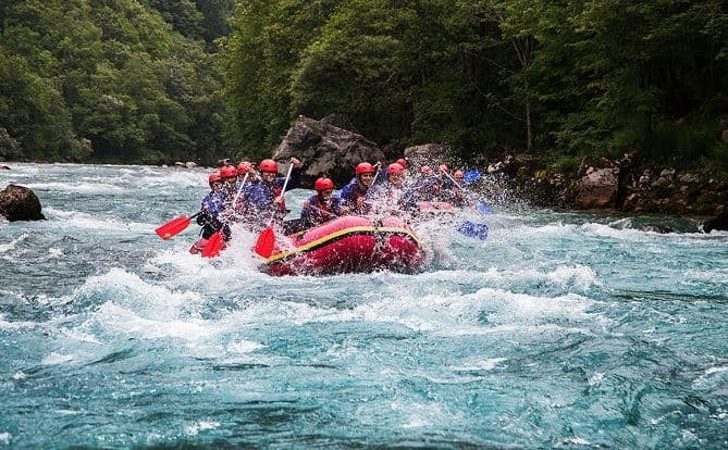 Trofej Kolašina u NP Biogradska gora Trofej Kolašina u NP Biogradska gora
