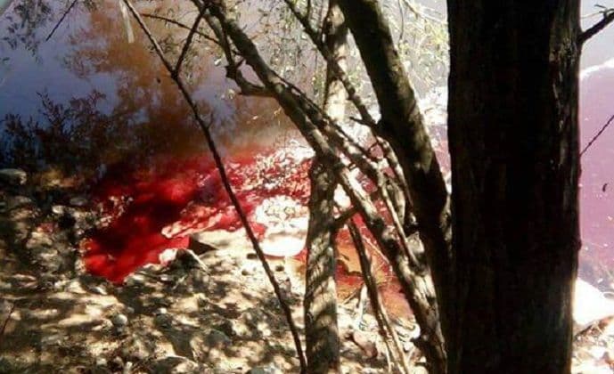 Uzalud upozorenja: Lim ponovo krvav Uzalud upozorenja: Lim ponovo krvav