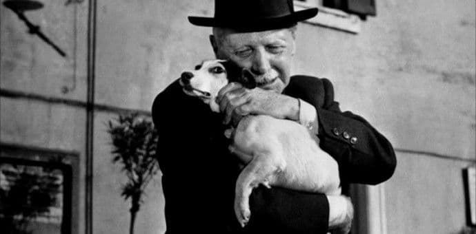 MEĐUNARODNI DAN PASA: Filmske njuške vrijedne milion dolara MEĐUNARODNI DAN PASA: Filmske njuške vrijedne milion dolara