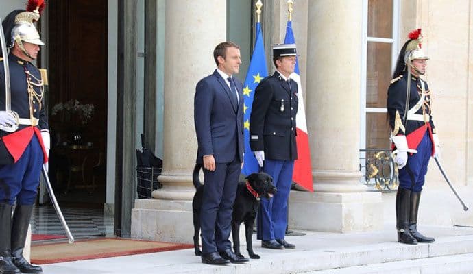 Nastavljena tradicija: Makronovi usvojili Nema Nastavljena tradicija: Makronovi usvojili Nema