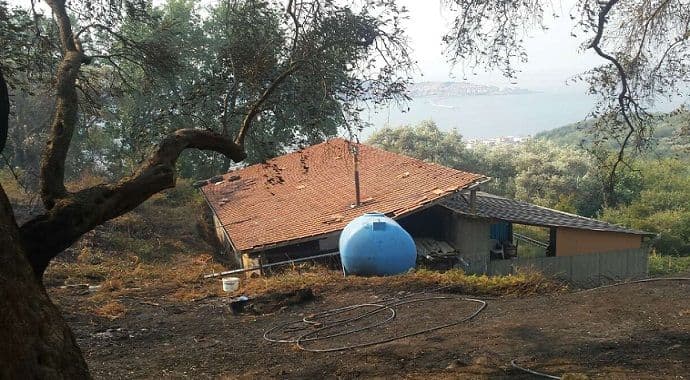 CEDIS: U Šušanju nije bilo požara izazvanog prekidom dalekovodnog užeta CEDIS: U Šušanju nije bilo požara izazvanog prekidom dalekovodnog užeta