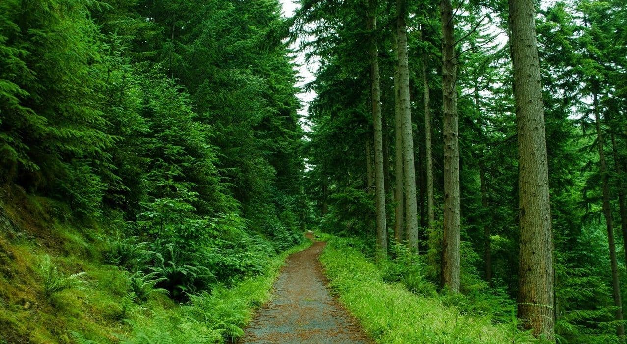 Planinske staze - značajna podrška razvoju turizma Planinske staze - značajna podrška razvoju turizma