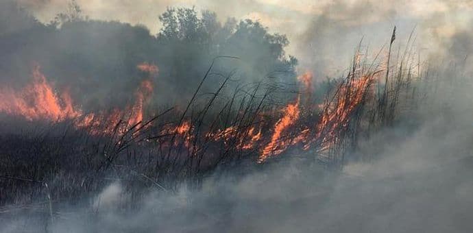 Požar na Velikoj plaži: Izgorio jedan objekat Požar na Velikoj plaži: Izgorio jedan objekat