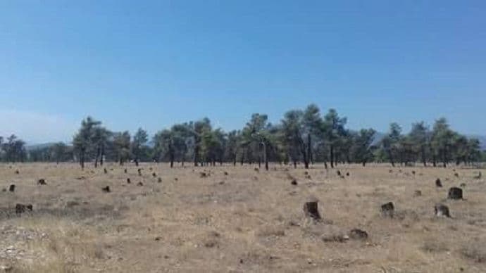 Podgorički masakr motornom testerom Podgorički masakr motornom testerom