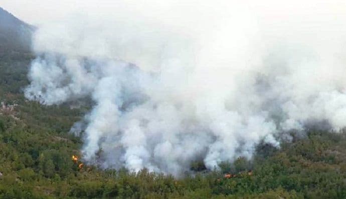 Bogdanović: Angažovani svi ljudski i materijalni resursi u cilju gašenja požara Bogdanović: Angažovani svi ljudski i materijalni resursi u cilju gašenja požara