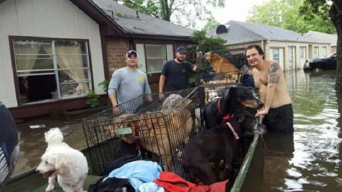 Pseća „barka spasa“ u Hjustonu Pseća „barka spasa“ u Hjustonu