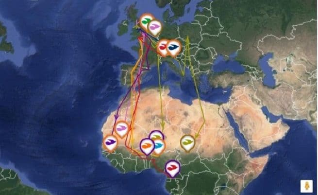 Nakon Dejvida još jedna ptica kukavica odabrala Crnu Goru za ljetovanje Nakon Dejvida još jedna ptica kukavica odabrala Crnu Goru za ljetovanje