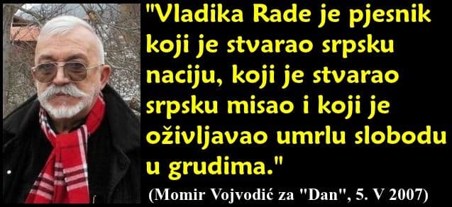 4-vojvodic